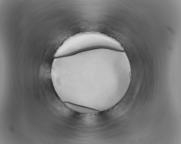 X0000110990384200907311015
