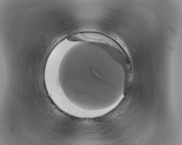 X0000110990385200907311014