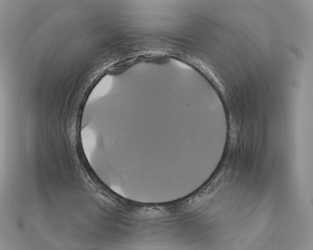 X0000110990386200907311014