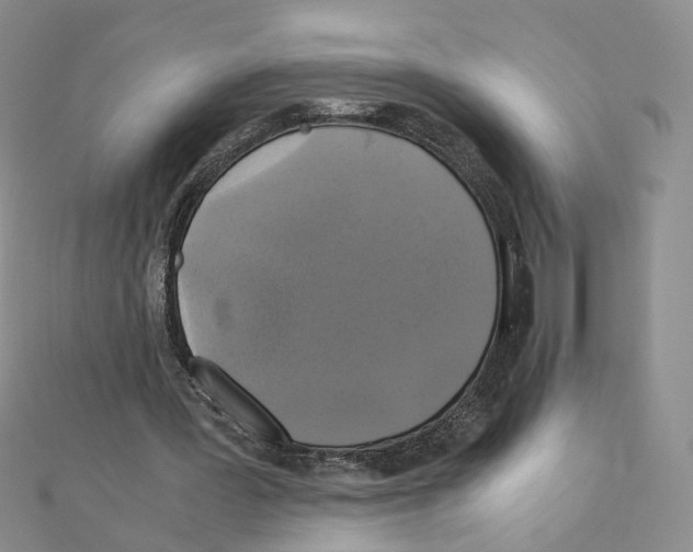 X0000110990387200907311014