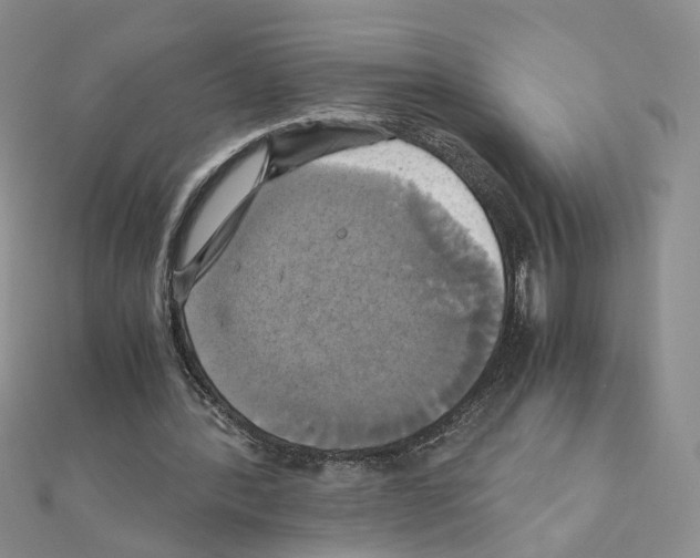 X0000110990388200907311014