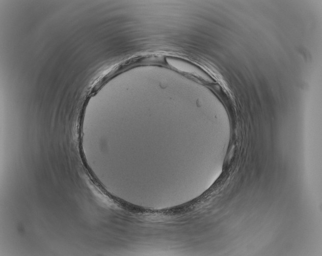 X0000110990389200907311014