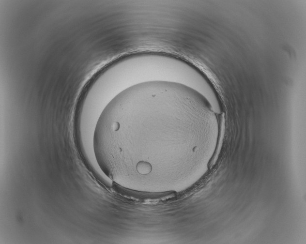 X0000110990391200907311014