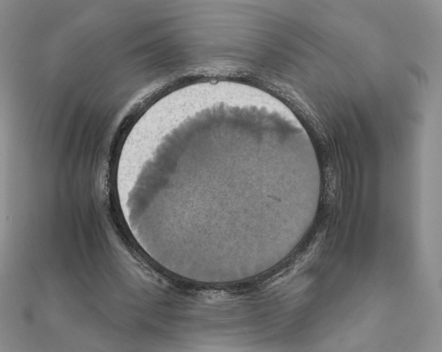 X0000110990392200907311014