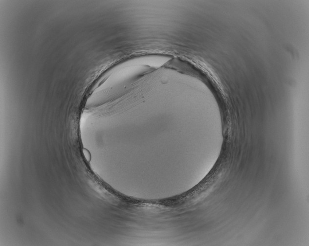 X0000110990393200907311014