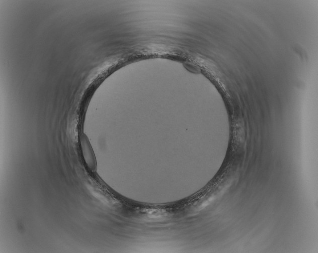 X0000110990395200907311014