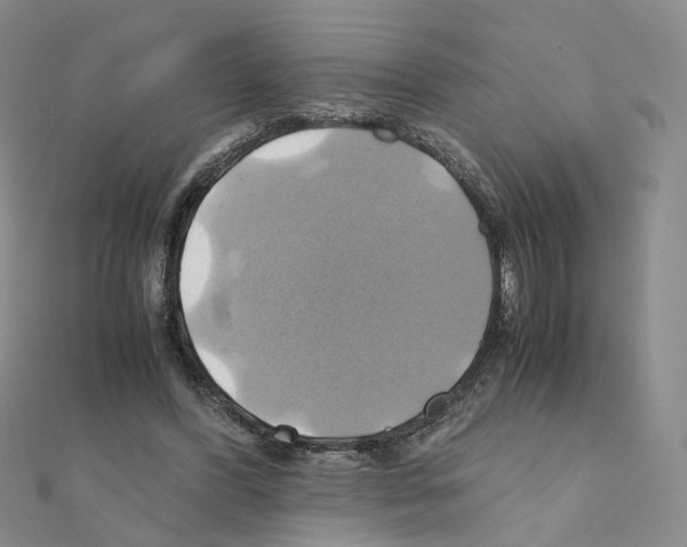 X0000110990396200907311014