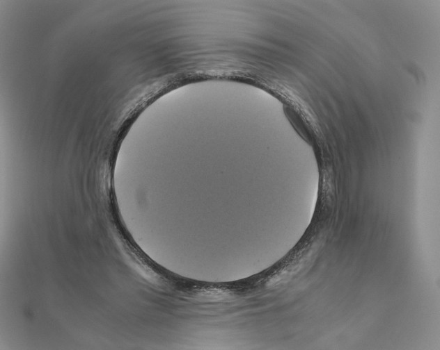 X0000110990397200907311014