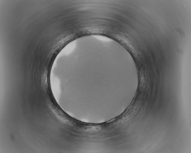 X0000110990398200907311014