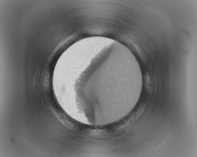 X0000110990400200907311014