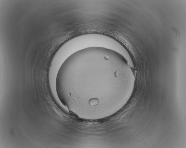 X0000110990401200907311014