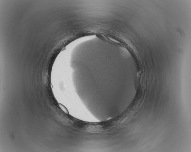 X0000110990403200907311014