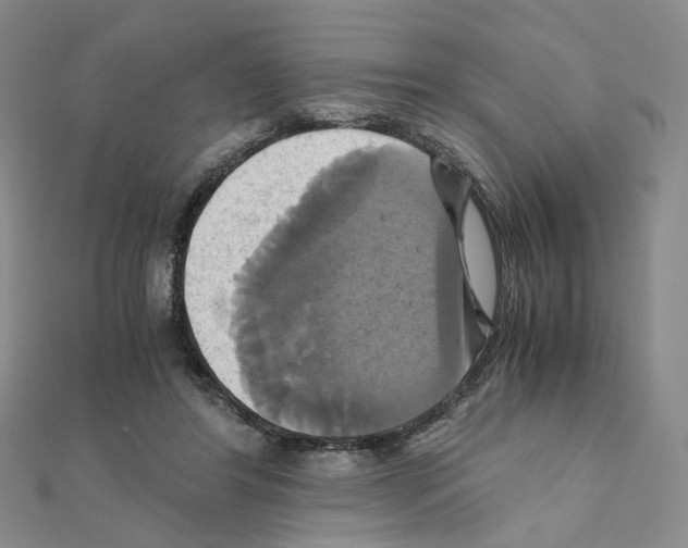X0000110990404200907311014