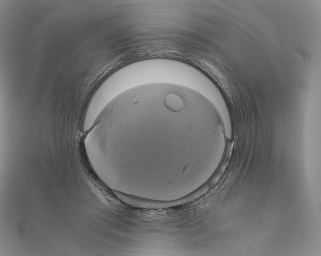 X0000110990405200907311014