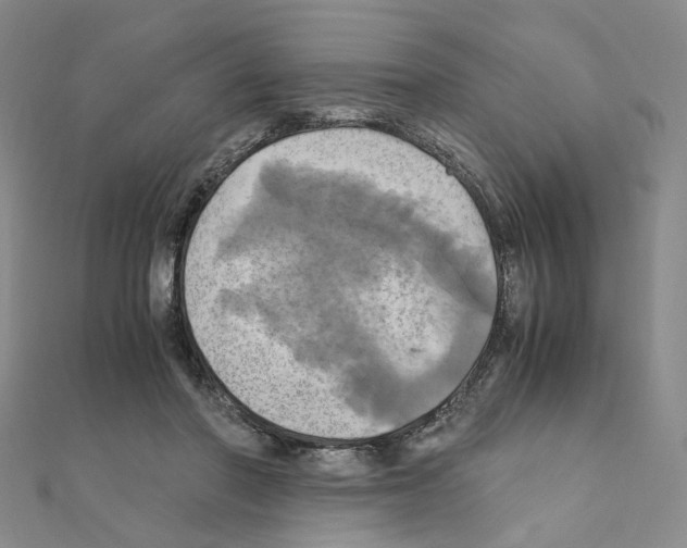 X0000110990406200907311014