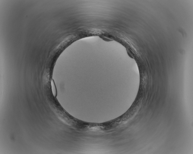 X0000110990407200907311014