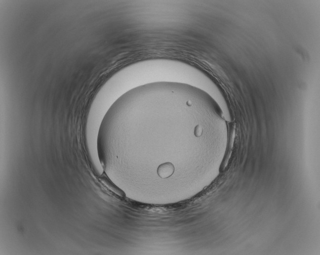 X0000110990409200907311014