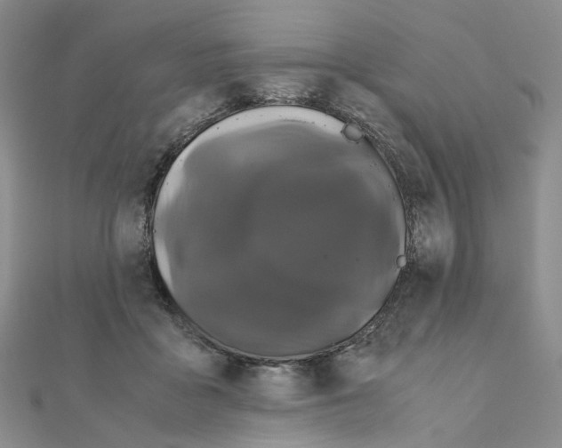 X0000110990411200907311014