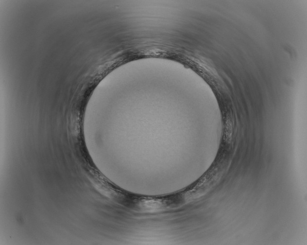 X0000110990413200907311014