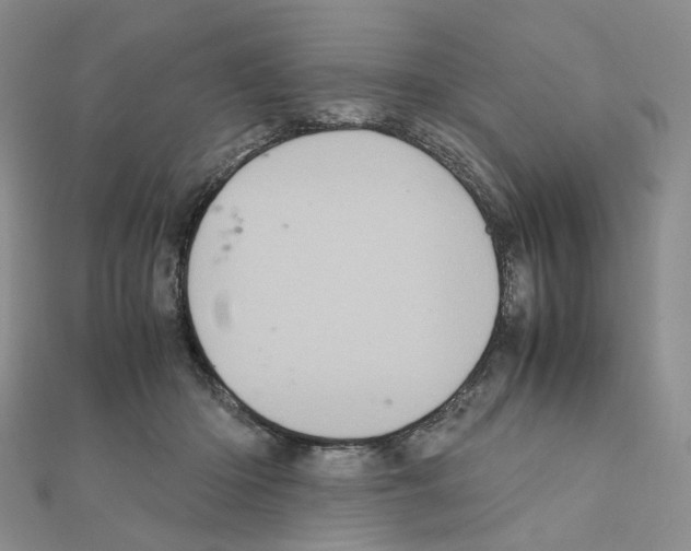 X0000110990414200907311014