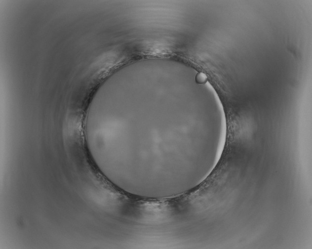 X0000110990415200907311014