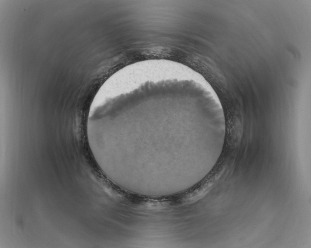 X0000110990416200907311014