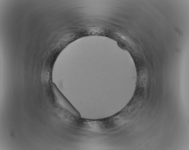 X0000110990417200907311014