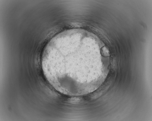 X0000110990418200907311014