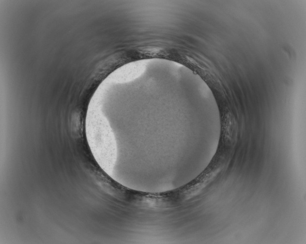 X0000110990420200907311014
