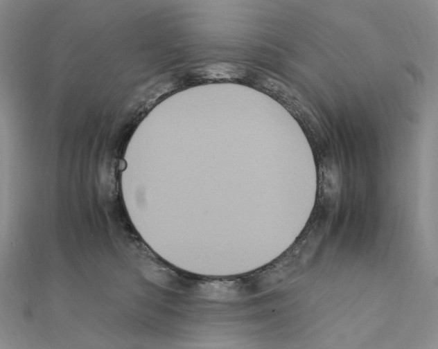 X0000110990422200907311014