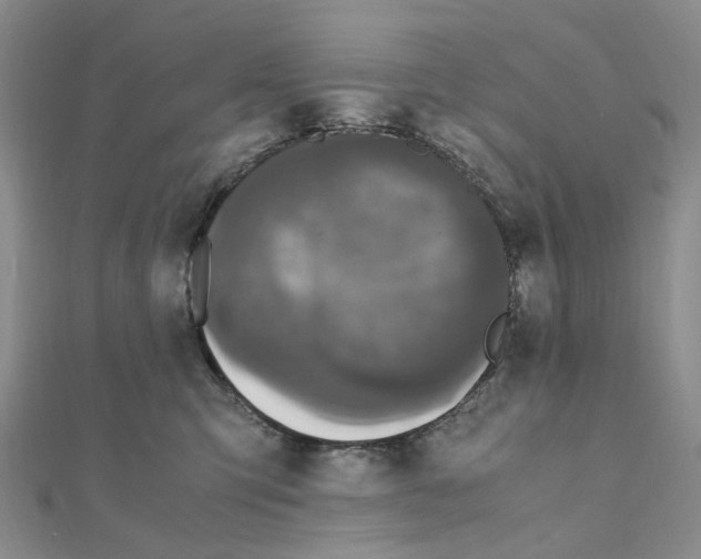 X0000110990423200907311014