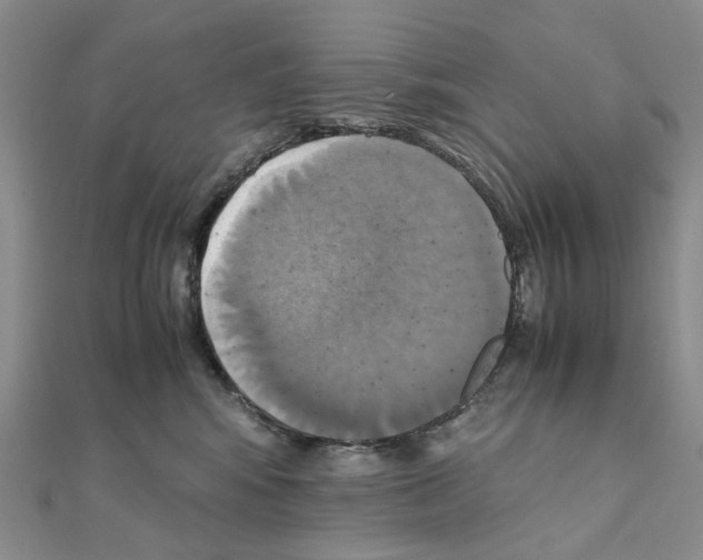 X0000110990424200907311014