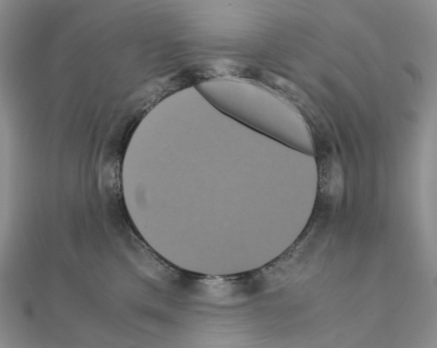 X0000110990425200907311014