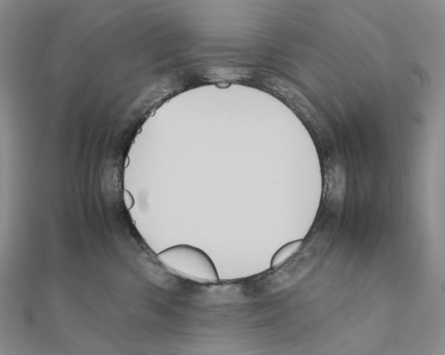 X0000110990426200907311014
