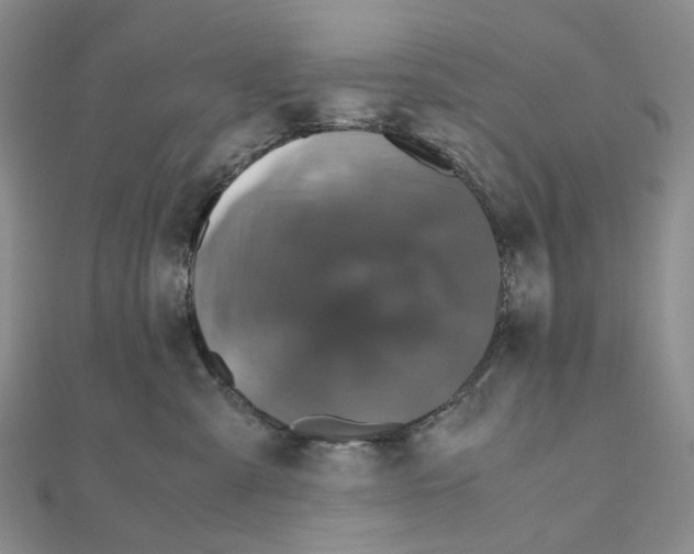 X0000110990427200907311014