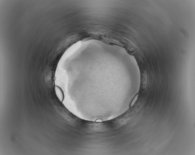 X0000110990428200907311014