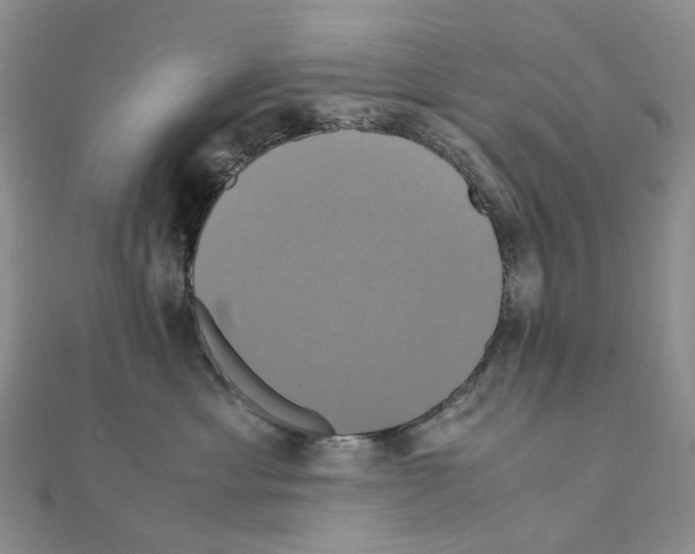 X0000110990429200907311014