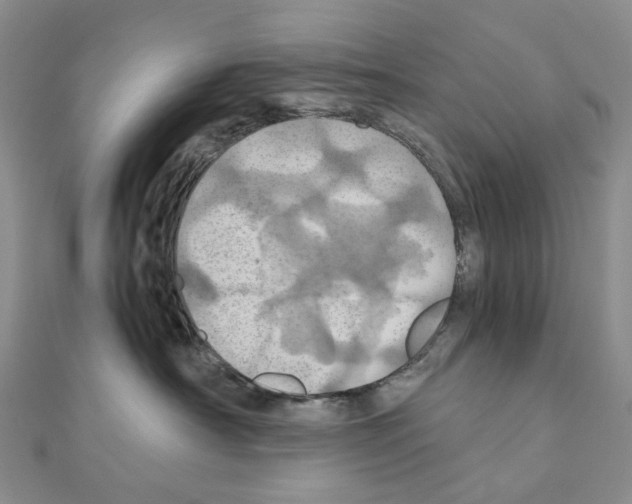 X0000110990430200907311014