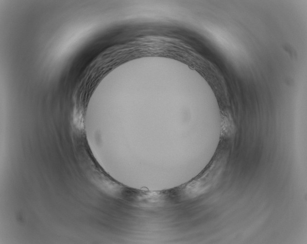 X0000110990431200907311014