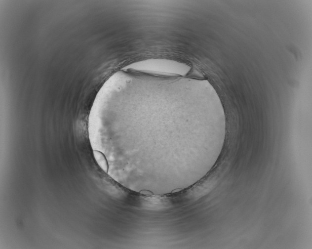 X0000110990432200907311014