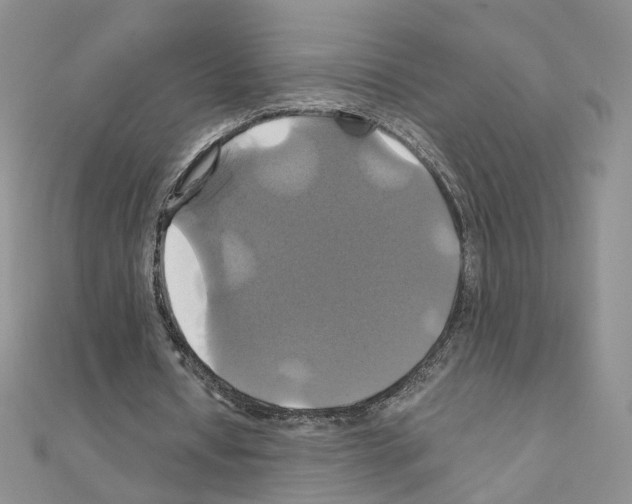 X0000110990434200907311013