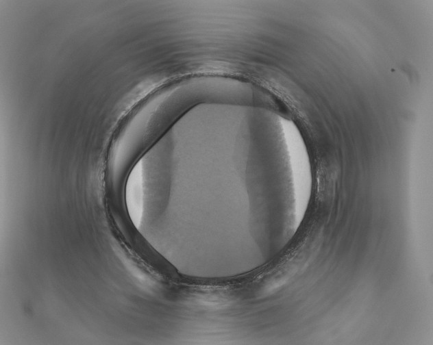 X0000110990436200907311013