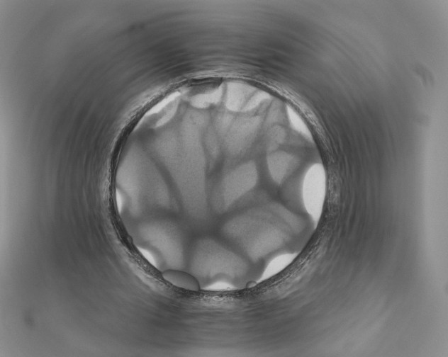 X0000110990437200907311013