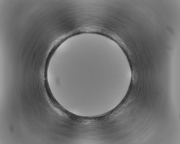X0000110990438200907311013