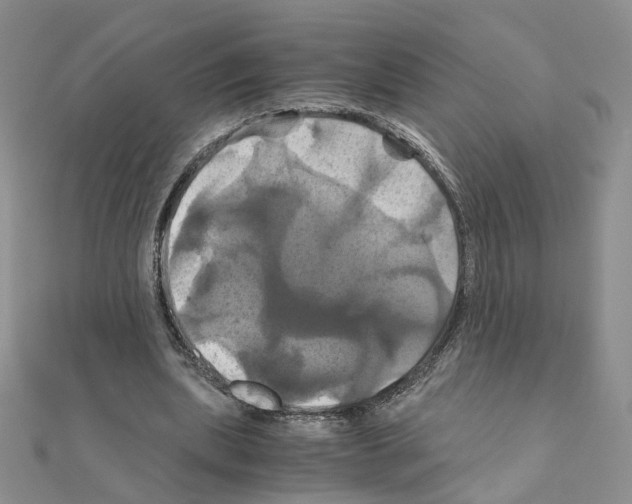 X0000110990439200907311013