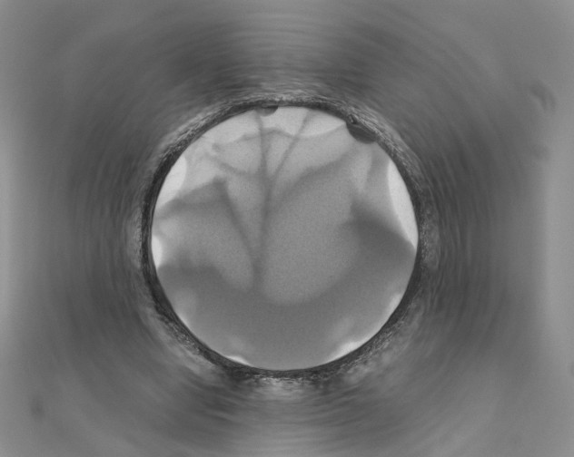 X0000110990442200907311013