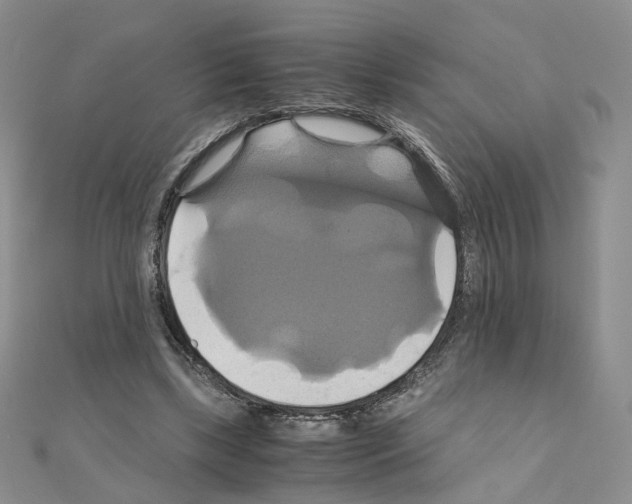 X0000110990443200907311013