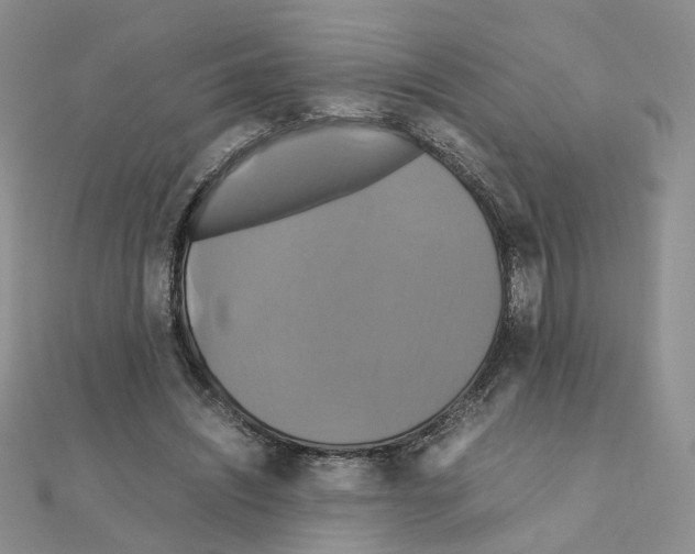 X0000110990444200907311013