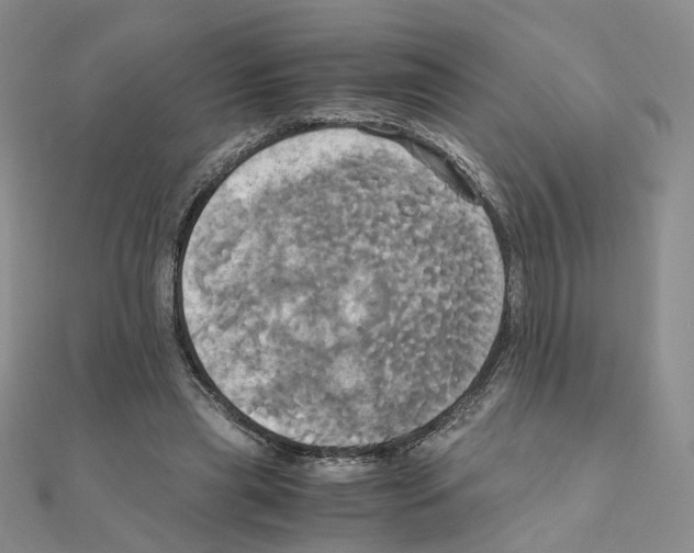 X0000110990445200907311013