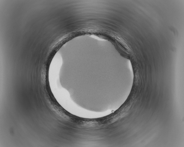 X0000110990446200907311013